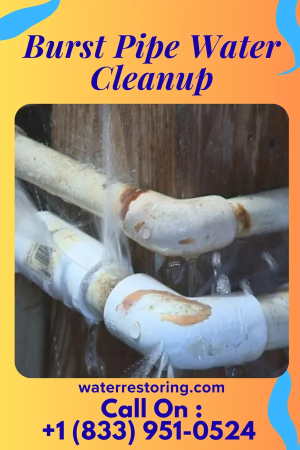 Burst Pipe Water Cleanup in Port Hadlock-Irondale, WA
